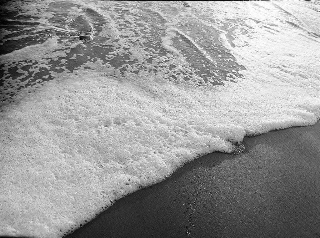 KODAK Tri-X 400 Black & White Negative Film, 35mm 135, EI 400