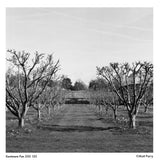 Pan 200 High Speed Black and White Negative Film, 120