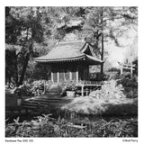 Pan 200 High Speed Black and White Negative Film, 120