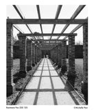 Pan 200 High Speed Black and White Negative Film, 120